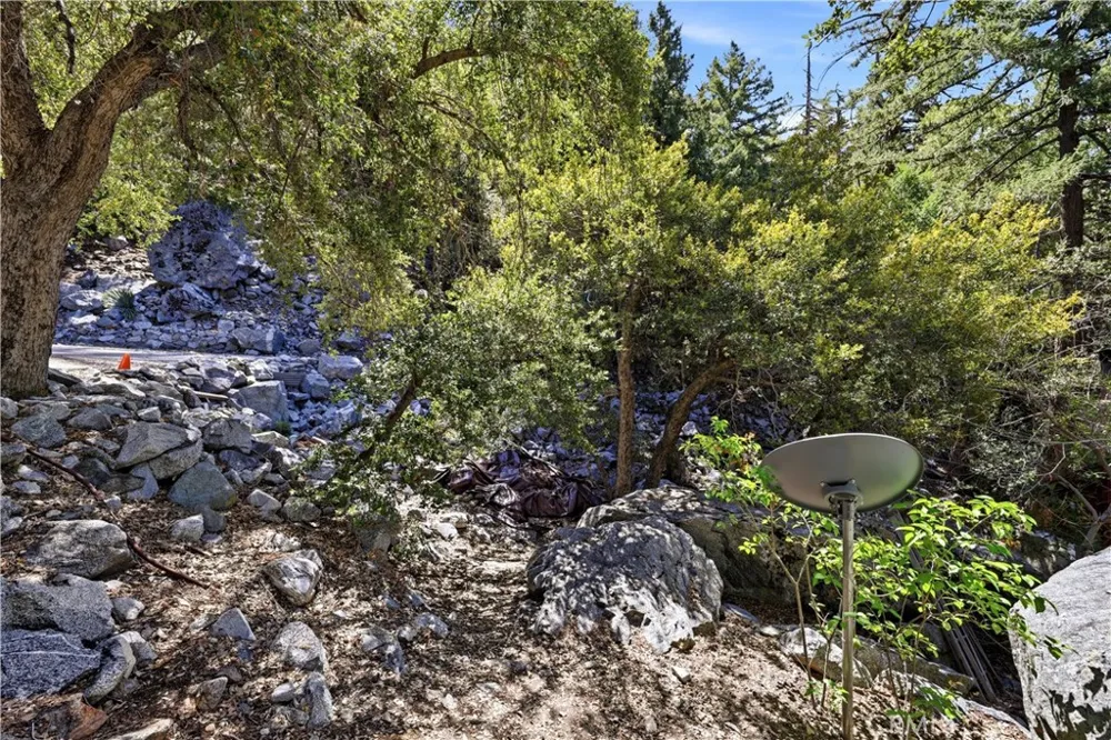 105 Upper San Antonio Falls Mt Baldy, CA 91759