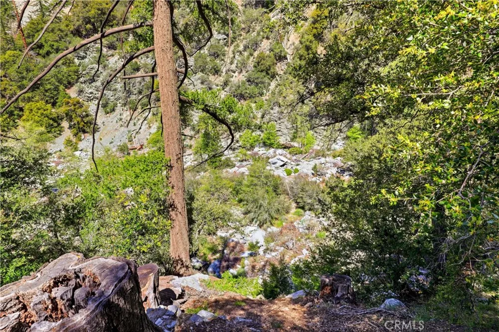 105 Upper San Antonio Falls Mt Baldy, CA 91759