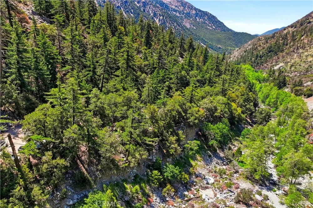 105 Upper San Antonio Falls Mt Baldy, CA 91759