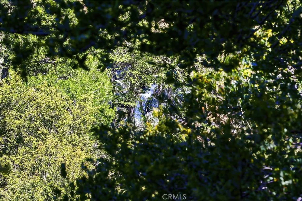105 Upper San Antonio Falls Mt Baldy, CA 91759