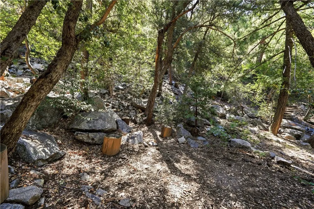 105 Upper San Antonio Falls Mt Baldy, CA 91759