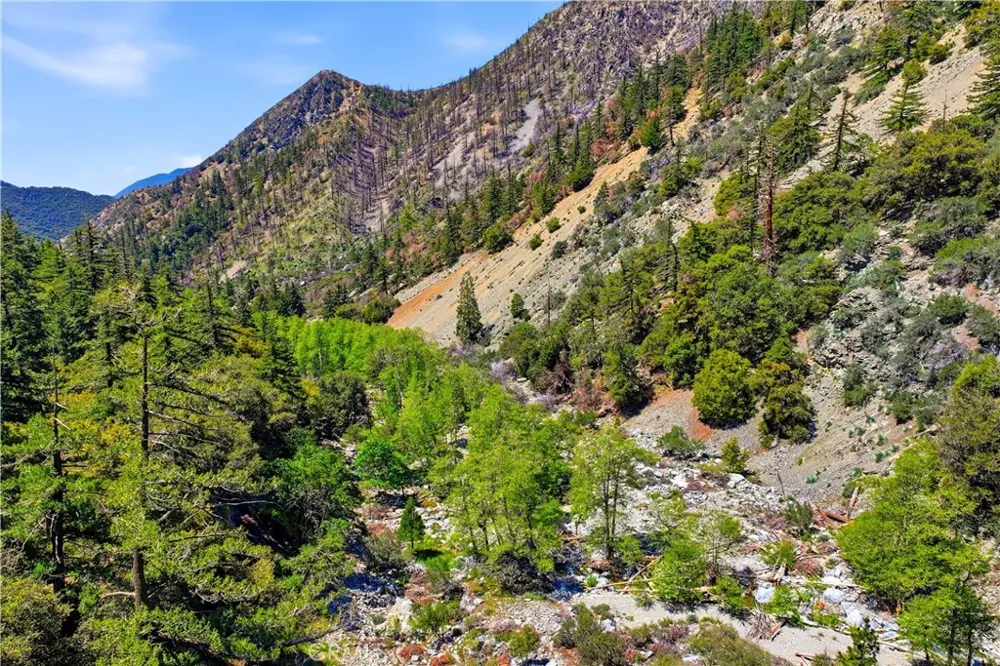 105 Upper San Antonio Falls Mt Baldy, CA 91759