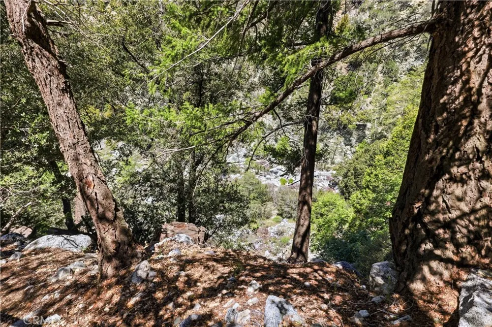 105 Upper San Antonio Falls Mt Baldy, CA 91759