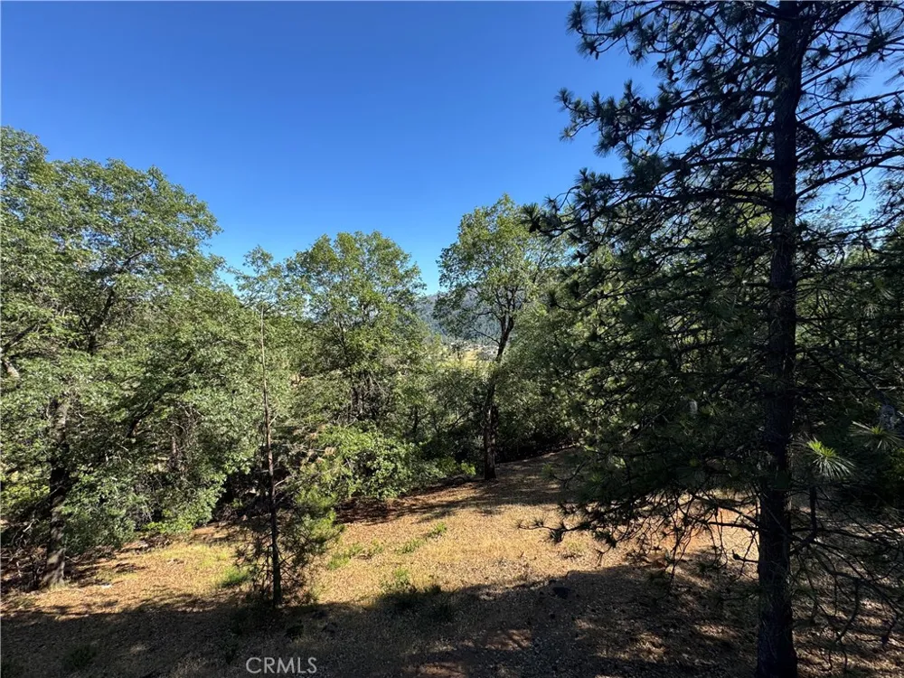 9651 St. Helena Drive Cobb, CA 95426