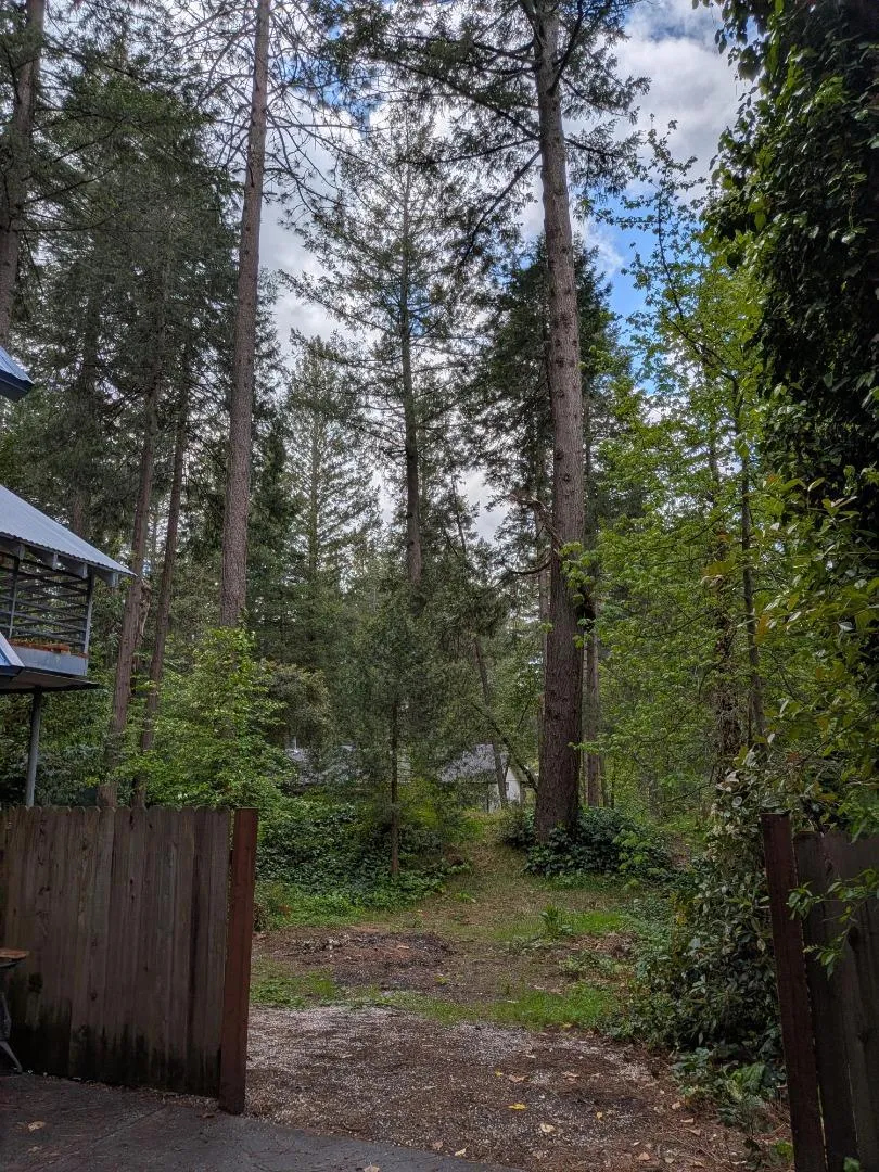 13020 Sadie D Drive Nevada City, CA 95959