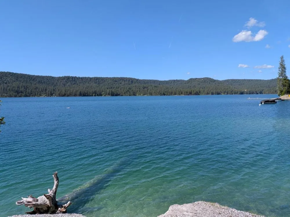 13020 Sadie D Drive Nevada City, CA 95959