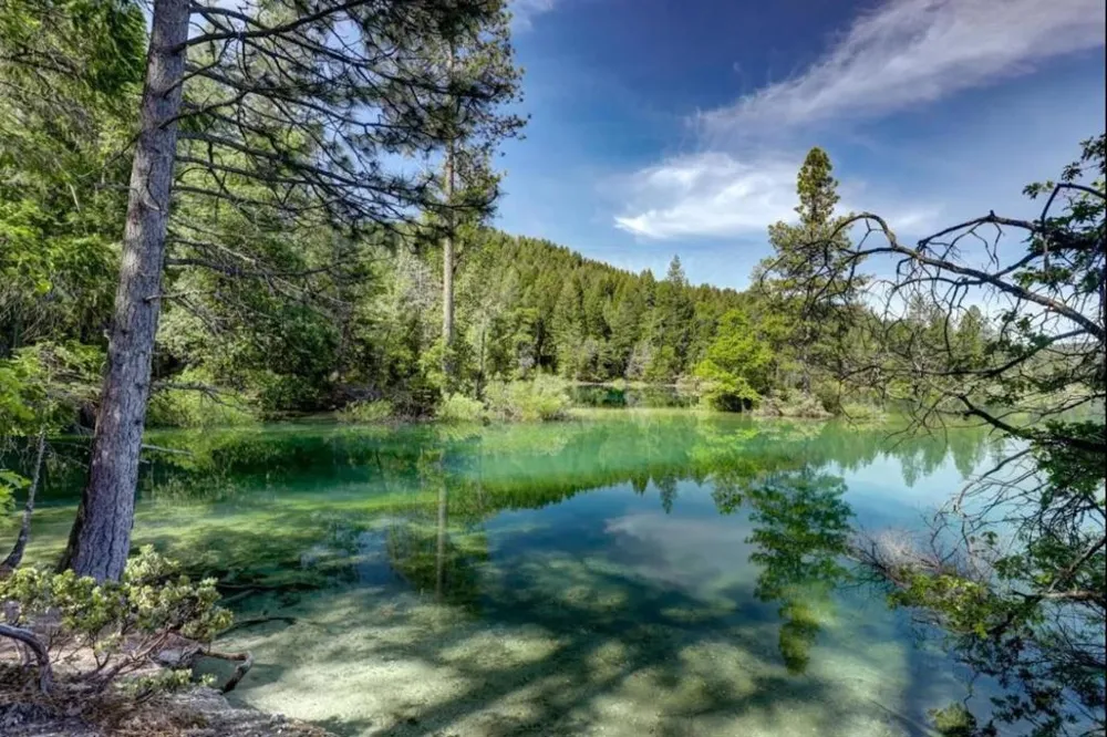 13020 Sadie D Drive Nevada City, CA 95959