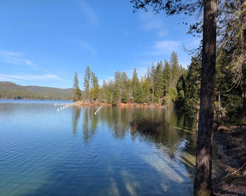 13020 Sadie D Drive Nevada City, CA 95959
