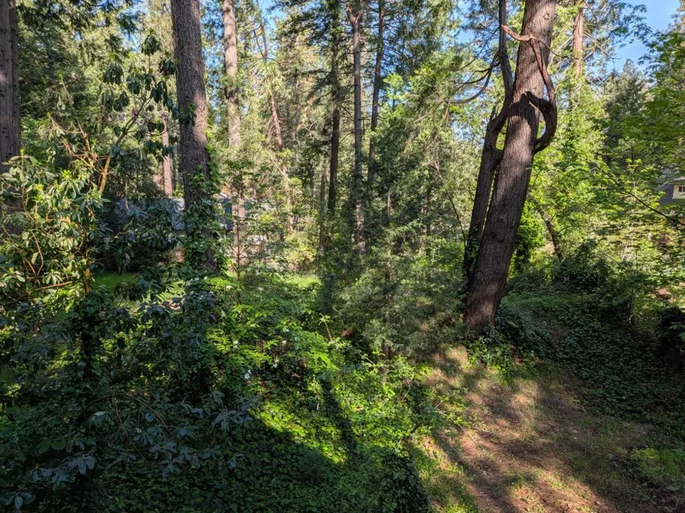 13020 Sadie D Drive Nevada City, CA 95959