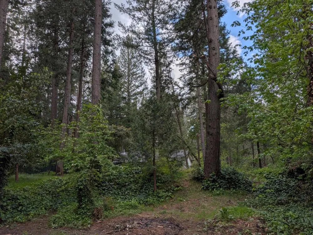 13020 Sadie D Drive Nevada City, CA 95959
