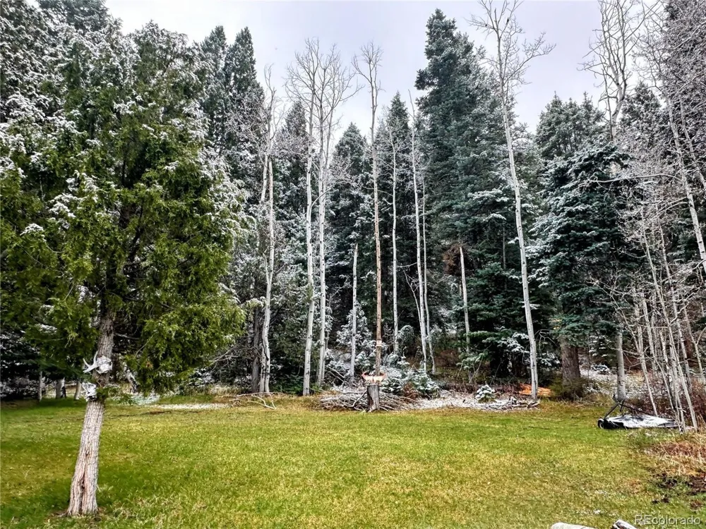 394 Tixier Ramirez Circle Antonito, CO 81120