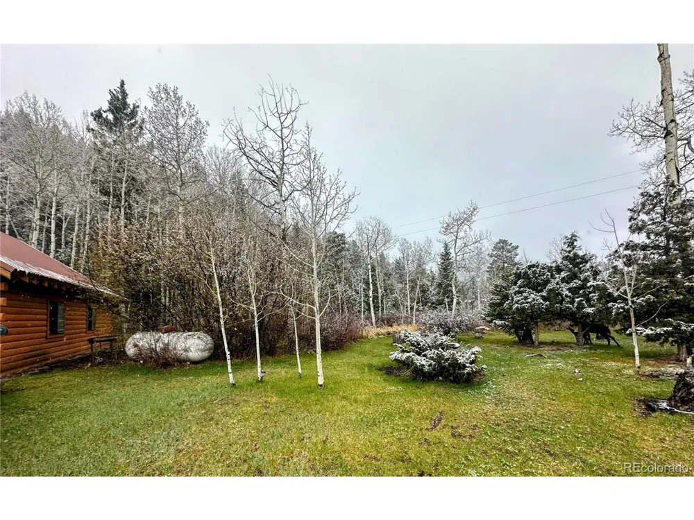 394 Tixier Ramirez Circle Antonito, CO 81120