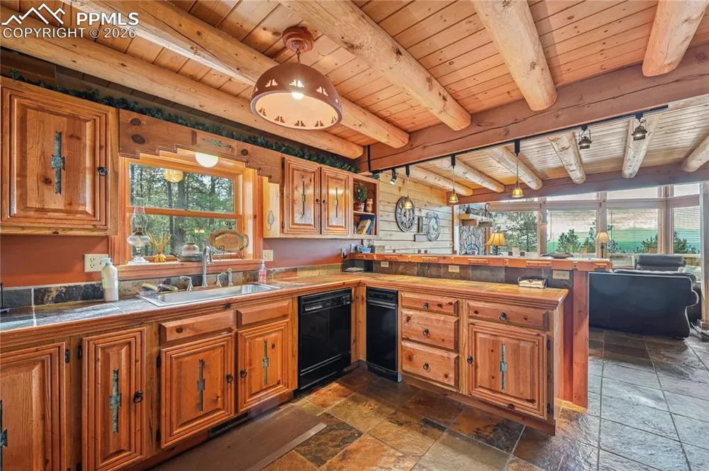 3613 Trail Creek Road Florissant, CO 80816