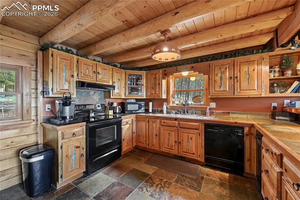 3613 Trail Creek Road Florissant, CO 80816