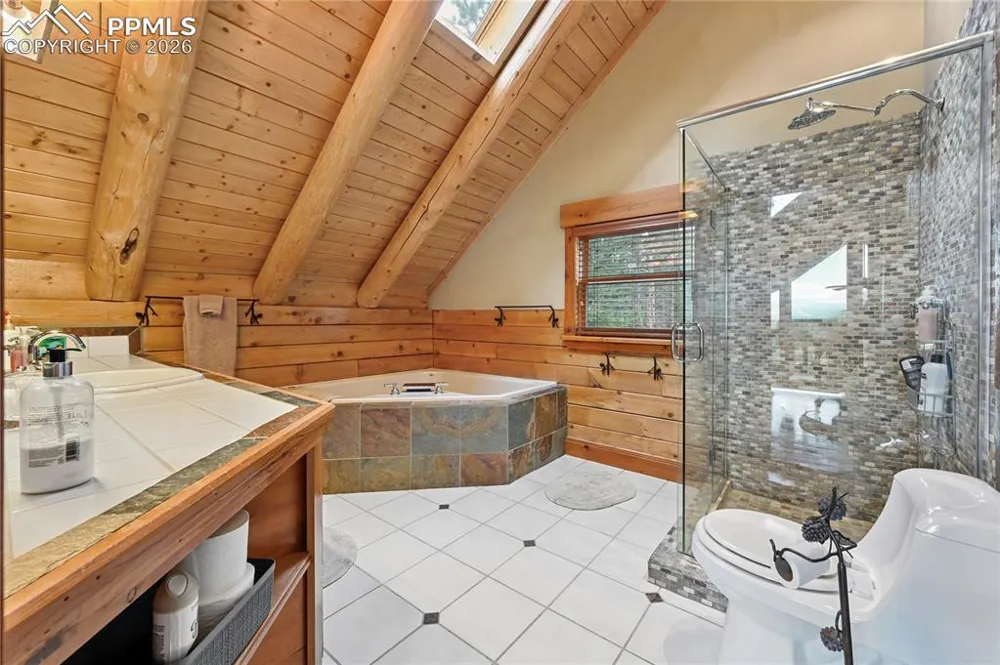 3613 Trail Creek Road Florissant, CO 80816
