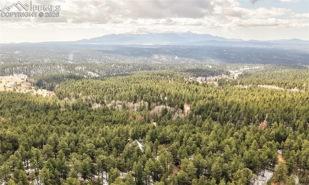 3613 Trail Creek Road Florissant, CO 80816