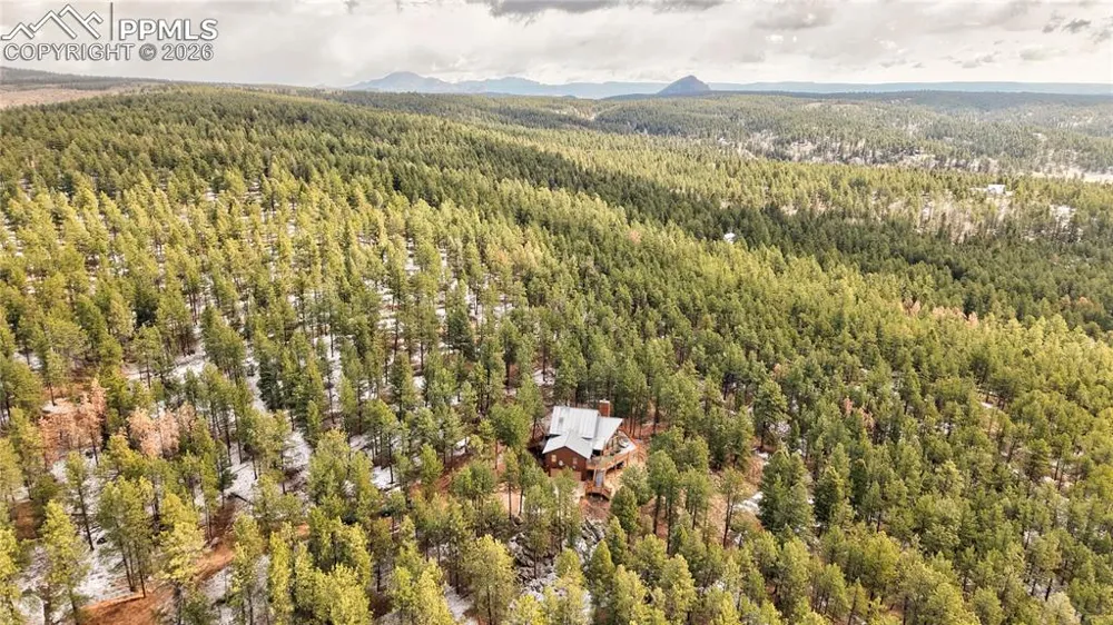 3613 Trail Creek Road Florissant, CO 80816