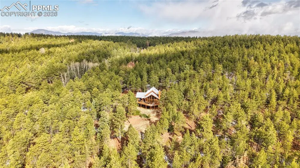 3613 Trail Creek Road Florissant, CO 80816