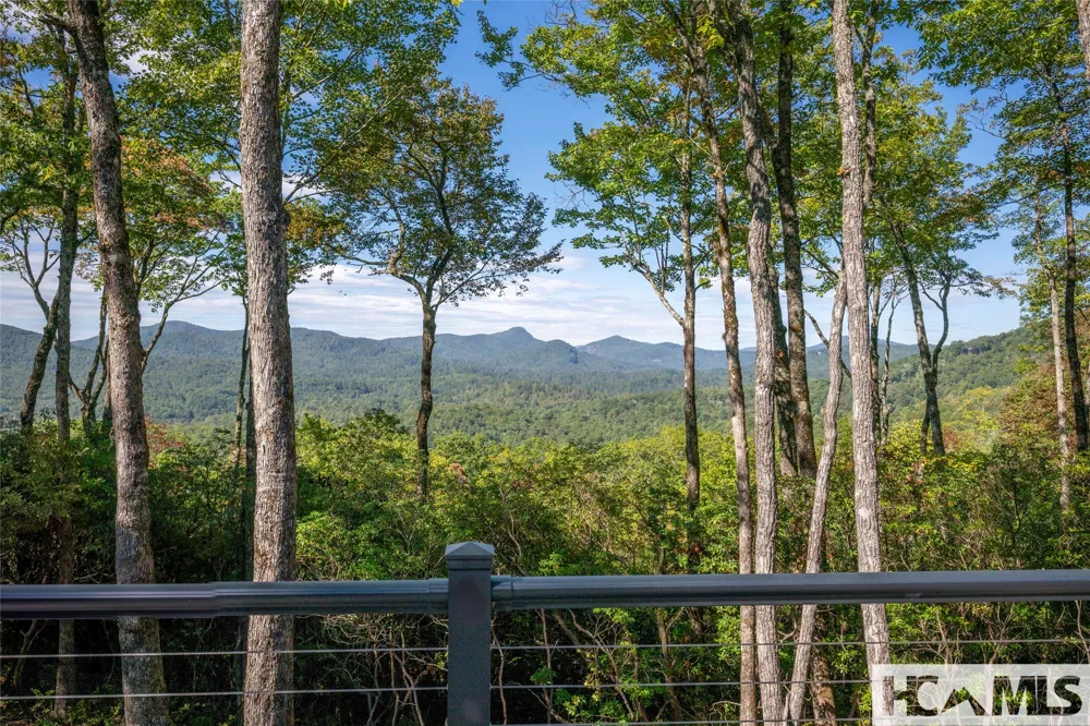519 Eagle Drive Sapphire, NC 28774