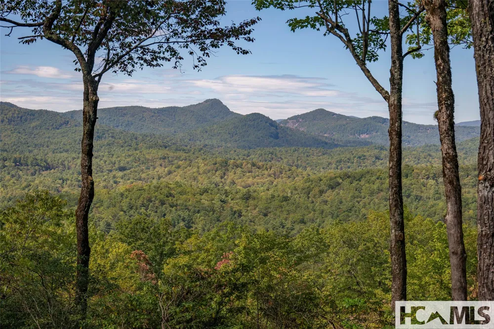 519 Eagle Drive Sapphire, NC 28774