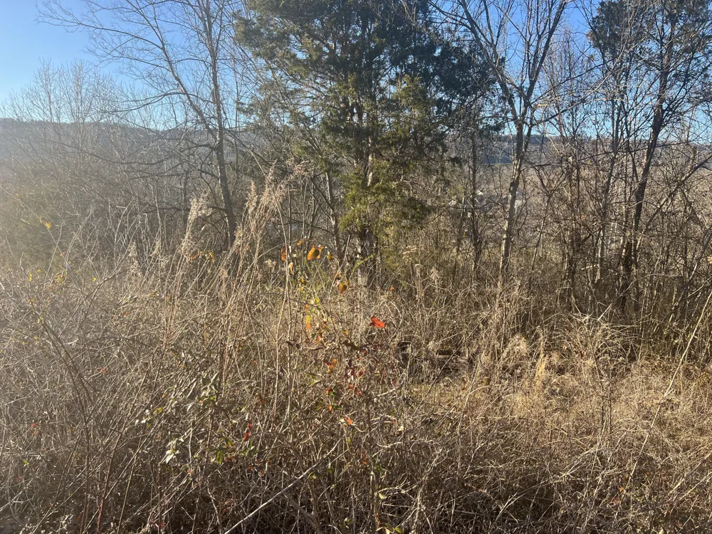 Cedar Breeze Trenton, GA 30752