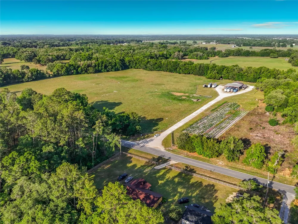 TBD NE 195TH AVENUE Williston, FL 32696