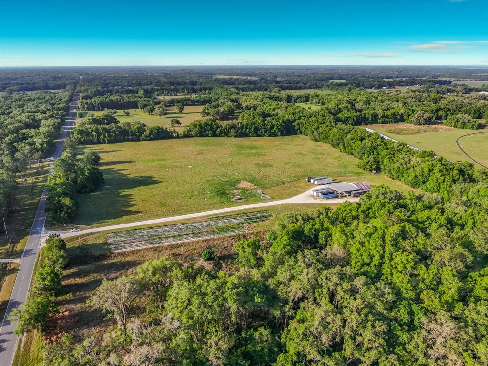 TBD NE 195TH AVENUE Williston, FL 32696
