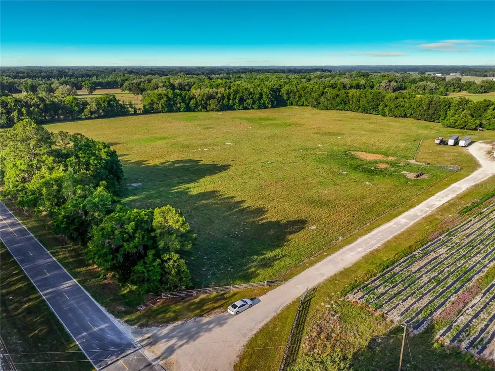 TBD NE 195TH AVENUE Williston, FL 32696