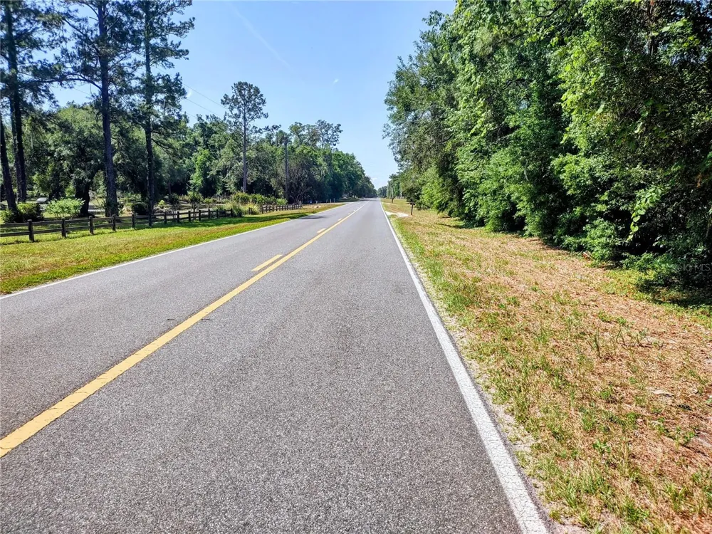TBD NE 195TH AVENUE Williston, FL 32696