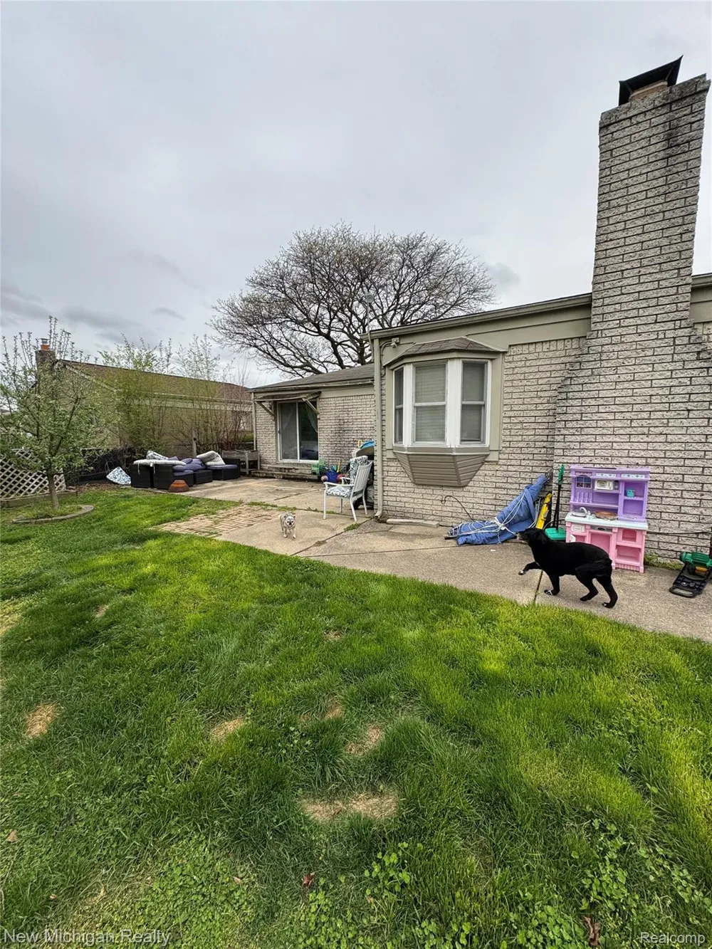 31090 Mc Namee Fraser City, MI 48026