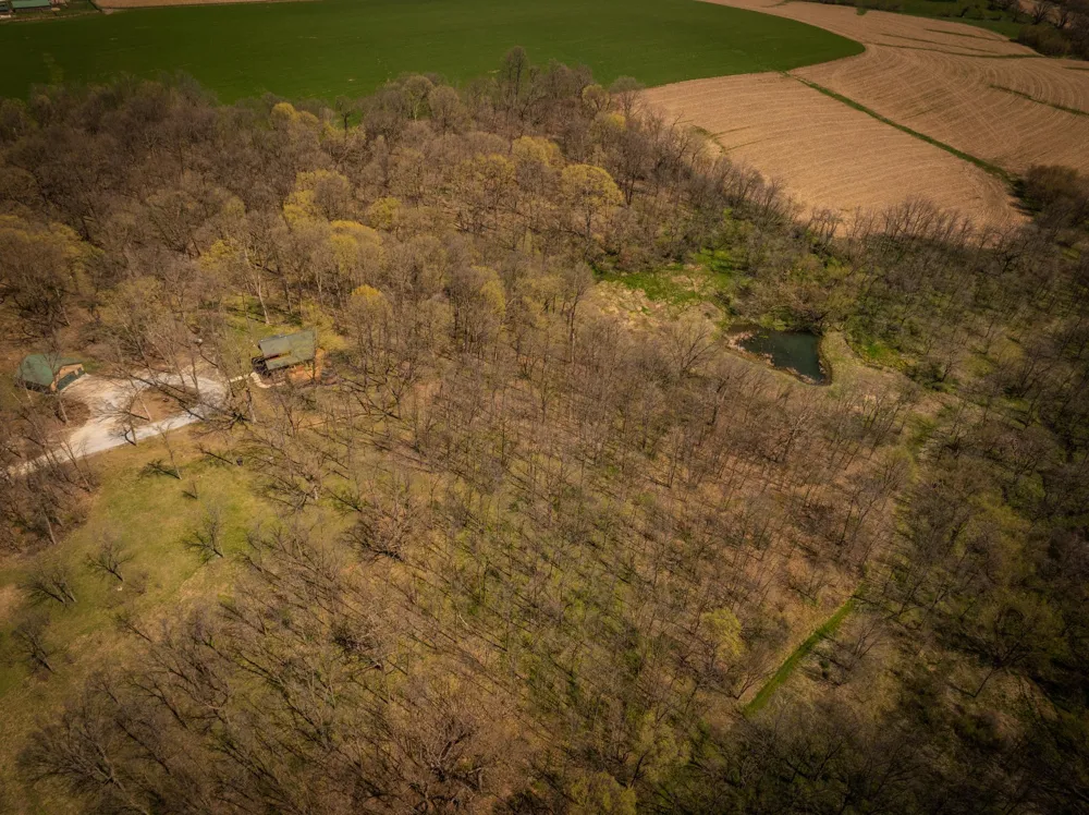 12994 385th Avenue Canton, MN 55922