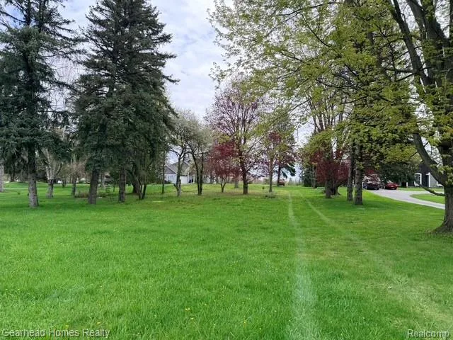 Sashabaw Road Independence Charter Township, MI 48348