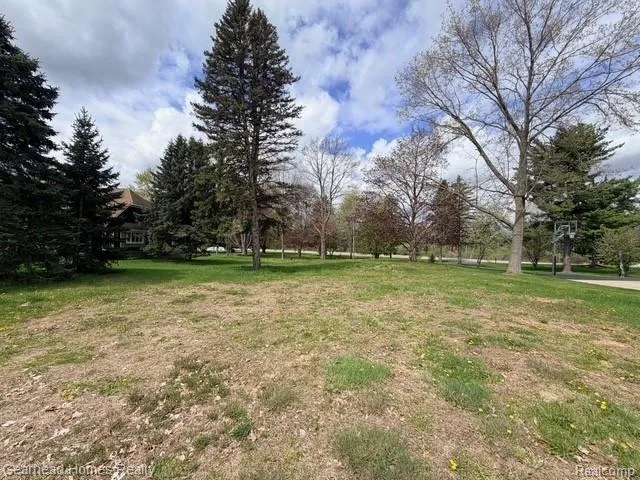 Sashabaw Road Independence Charter Township, MI 48348