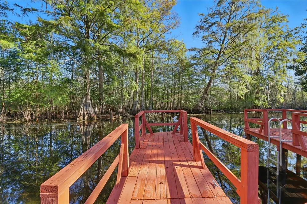 11641 E SALMON DRIVE Floral City, FL 34436
