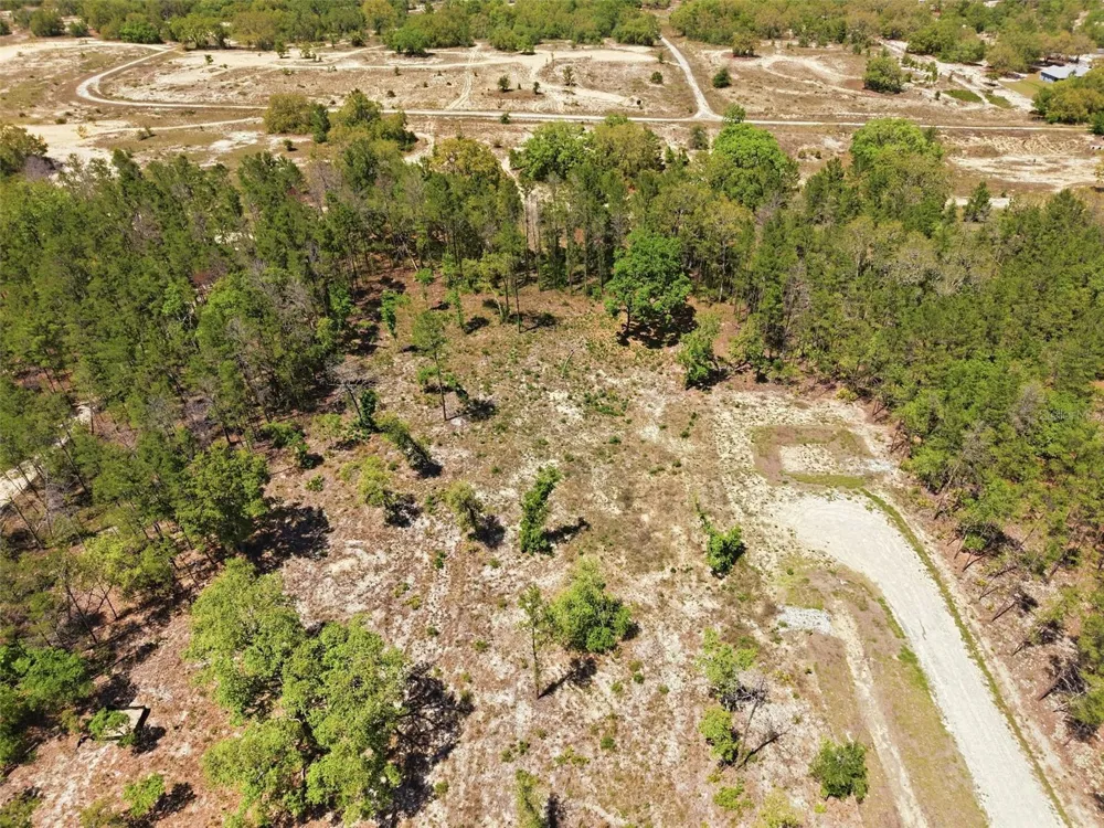 13331 HAVEN (LOT 4) TRAIL Weeki Wachee, FL 34614