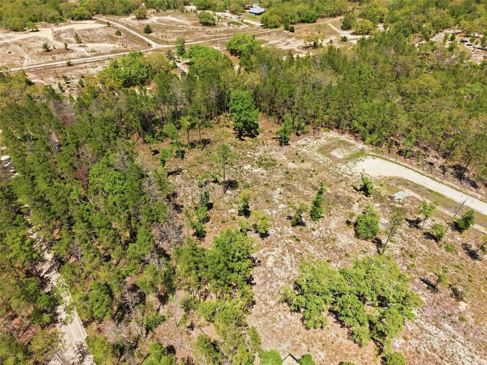 13331 HAVEN (LOT 4) TRAIL Weeki Wachee, FL 34614
