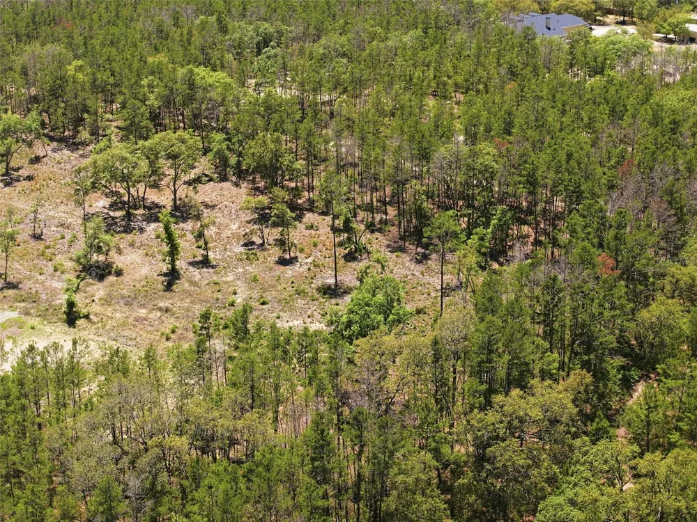13331 HAVEN (LOT 4) TRAIL Weeki Wachee, FL 34614
