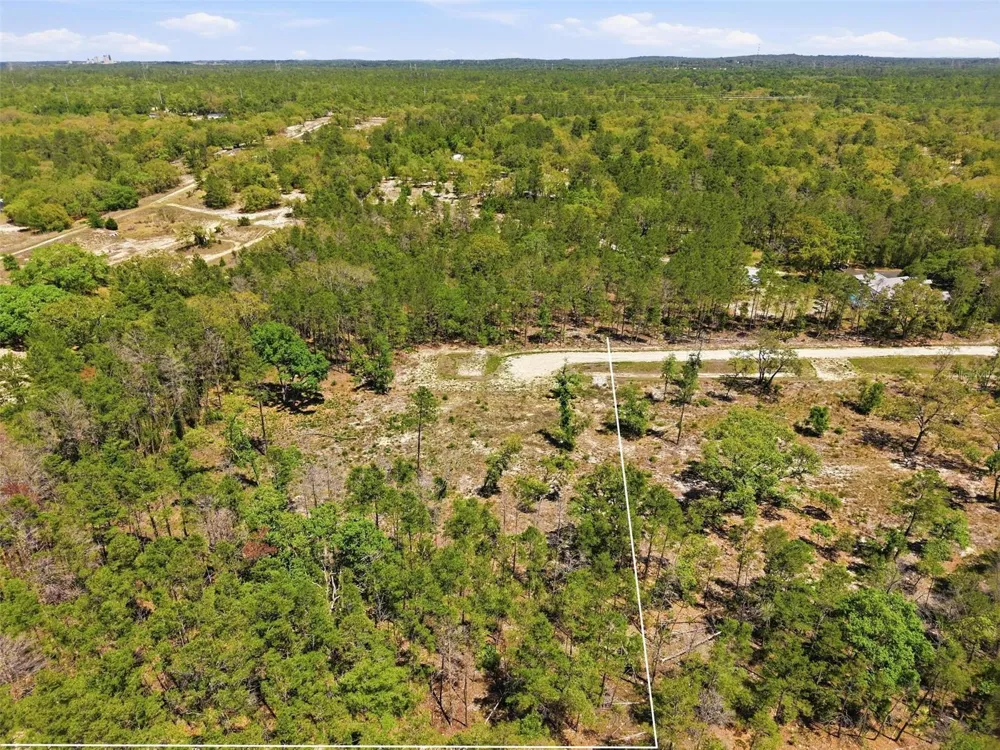 13331 HAVEN (LOT 4) TRAIL Weeki Wachee, FL 34614