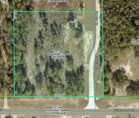 13183 HAVEN (LOT 1) TRAIL