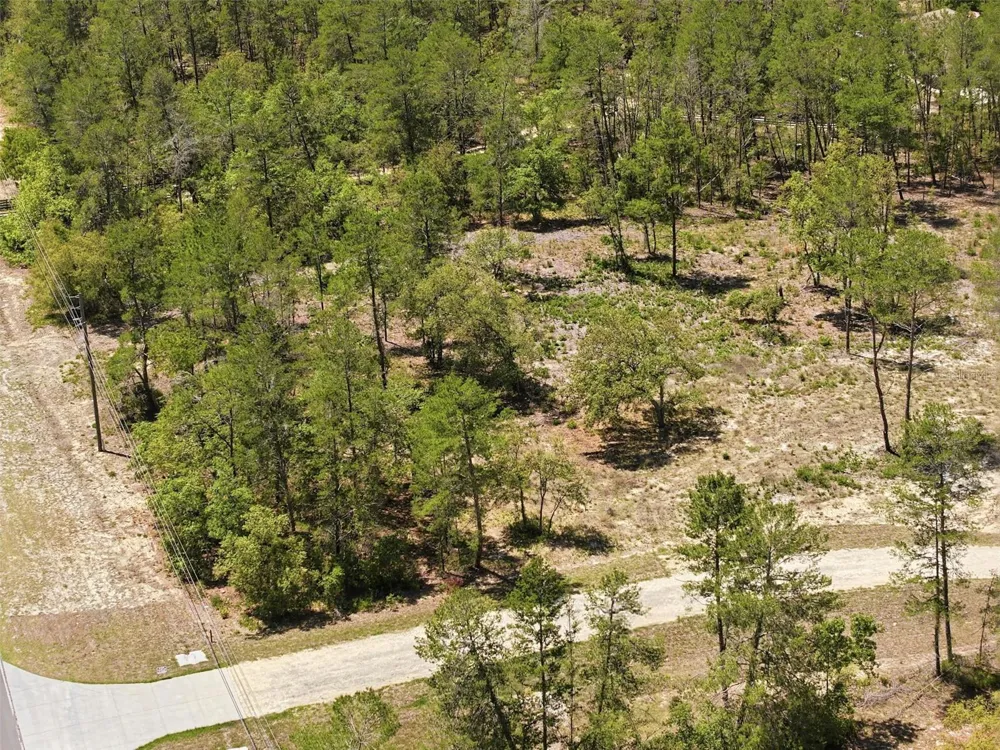 13183 HAVEN (LOT 1) TRAIL Weeki Wachee, FL 34614
