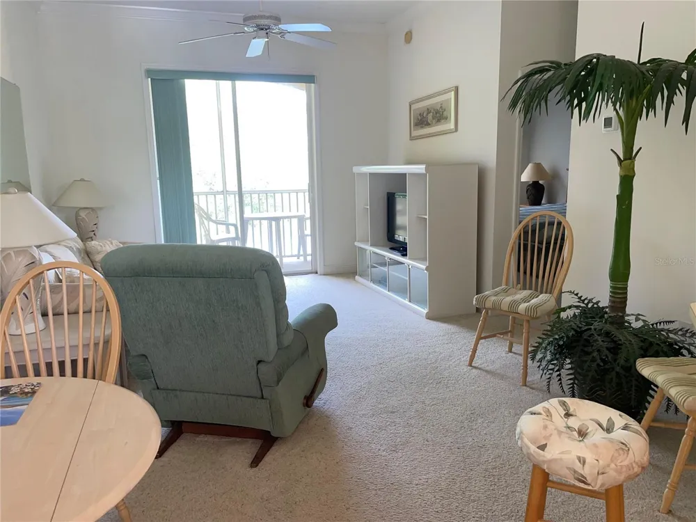6816 DALI AVENUE #205 Land O Lakes, FL 34637