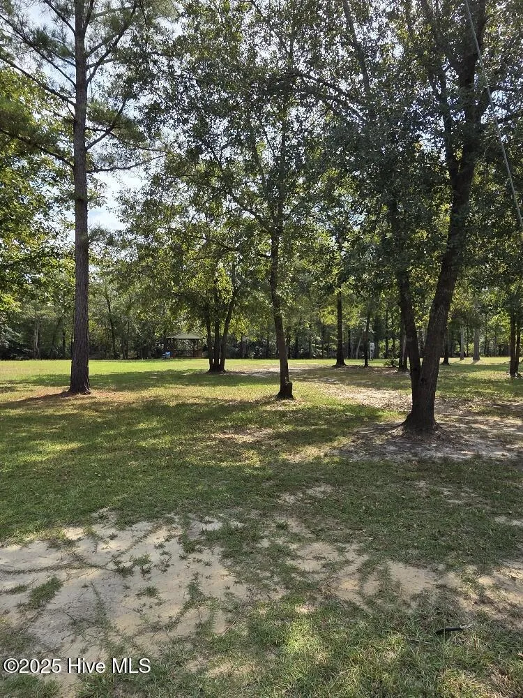 708 Albert Beatty Lane Harrells, NC 28444
