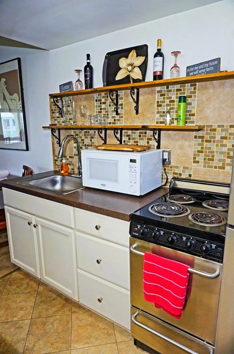 20853 HAULOVER COVE #A12 Lutz, FL 33558