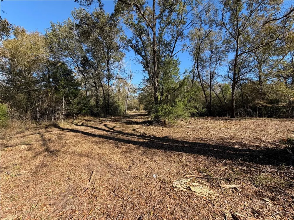 9301 Puddin Lane Madisonville, TX 77864