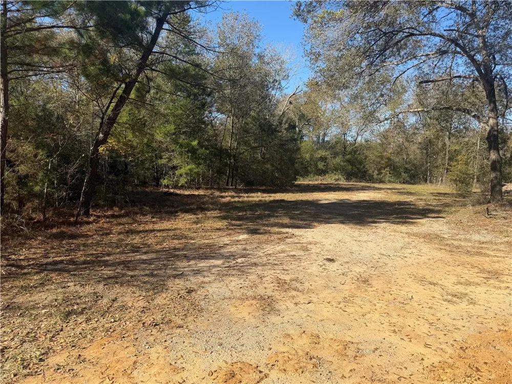 9301 Puddin Lane Madisonville, TX 77864