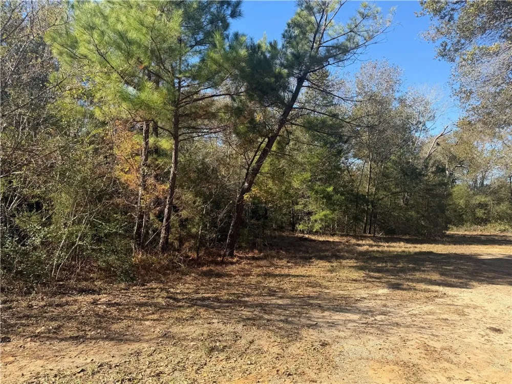 9301 Puddin Lane Madisonville, TX 77864