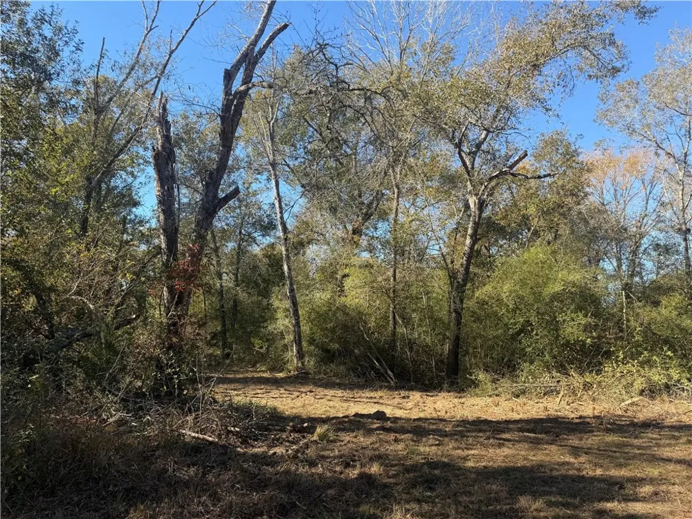 9301 Puddin Lane Madisonville, TX 77864