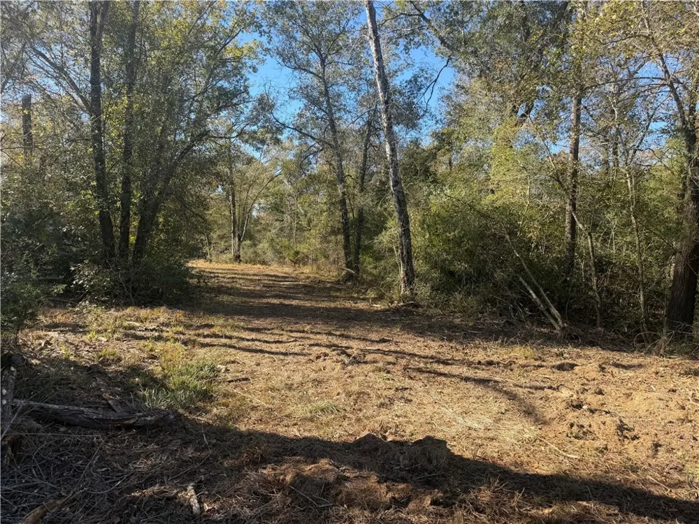 9301 Puddin Lane Madisonville, TX 77864