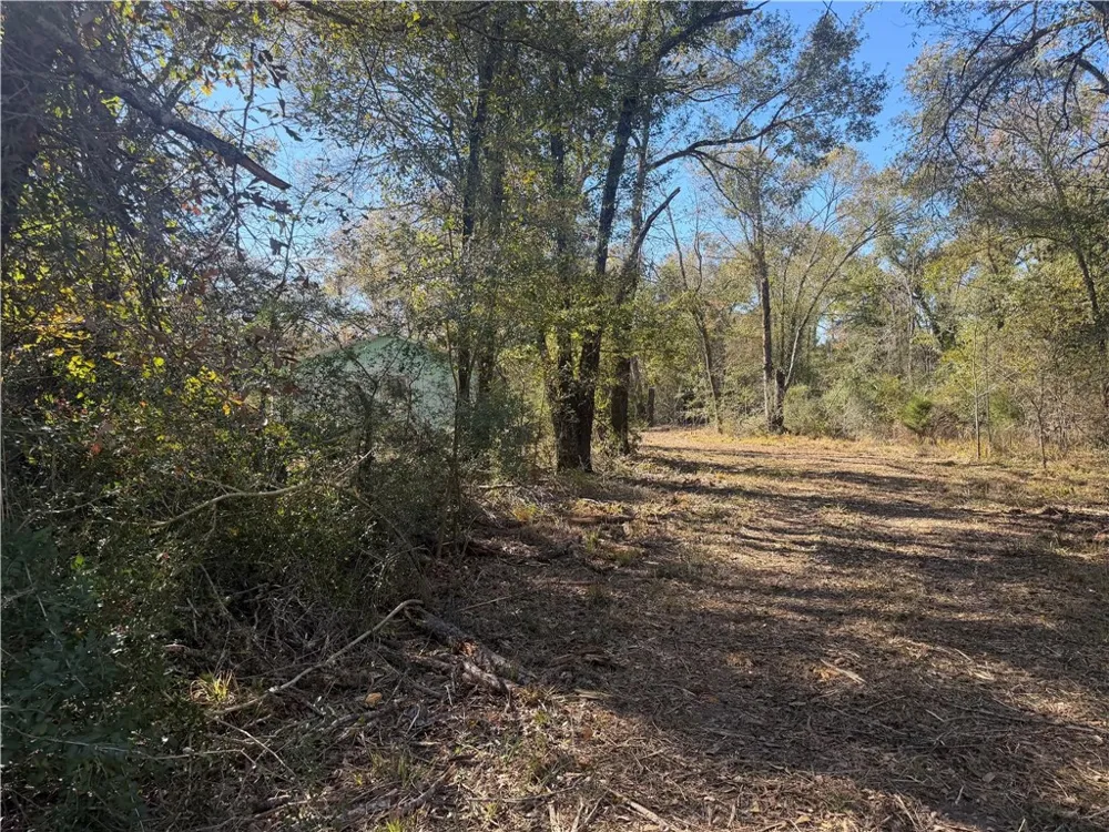 9301 Puddin Lane Madisonville, TX 77864