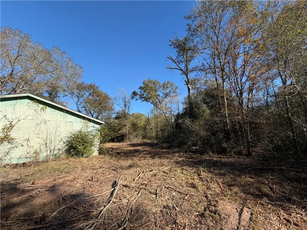 9301 Puddin Lane Madisonville, TX 77864